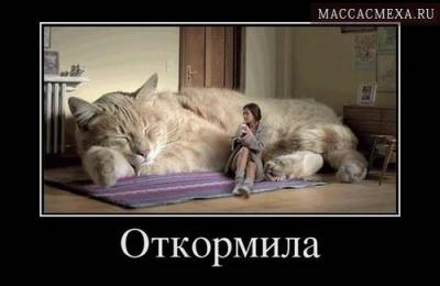 Прикрепленное изображение: maccacmexa-prikolnaya-podborka-demotivatorov-s-zhivotnymi-1-10.jpg